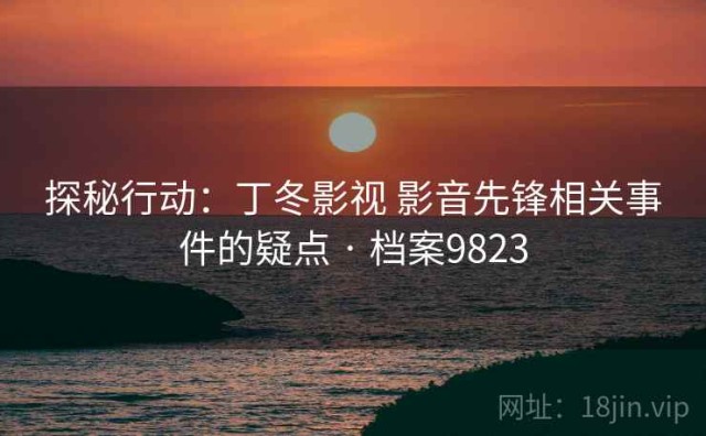 探秘行动：丁冬影视 影音先锋相关事件的疑点 · 档案9823