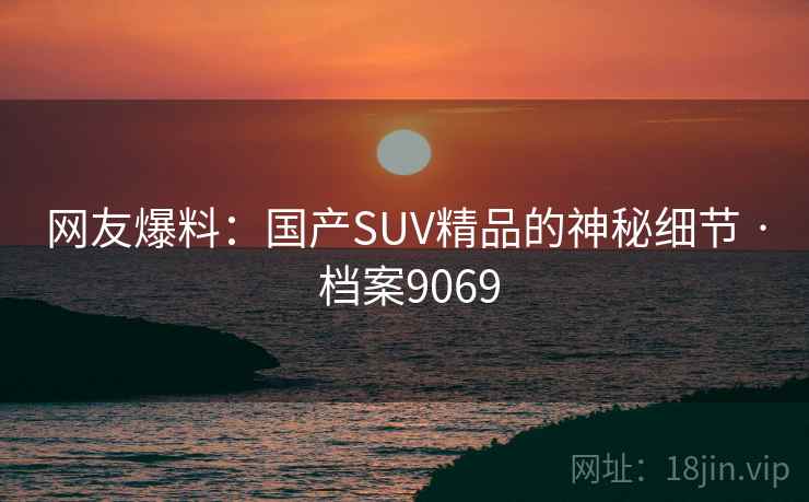 网友爆料:国产SUV精品的神秘细节 · 档案9069 网友爆料:国产SUV精品的神秘细节 · 档案9069